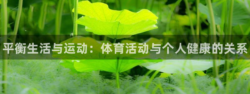 yy易游官方正版app五金厂：平衡生活与运动：体育活动与个人