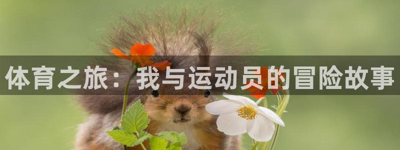 yy易游官方正版app集团logo：体育之旅：我与运