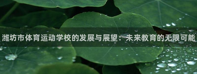 yy易游官方正版app代理：潍坊市体育运动学校的发展与展望：