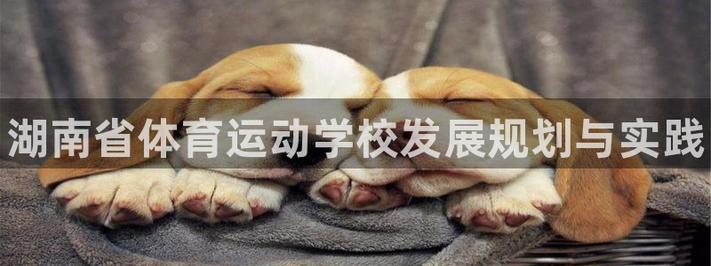 yy易游官网下载软件：湖南省体育运动学校发展规划与实