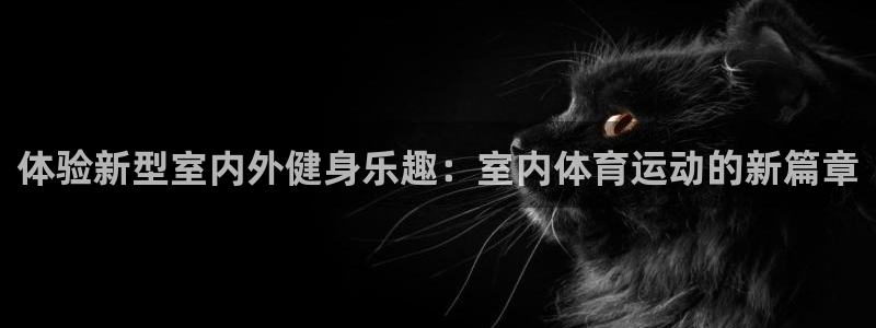 yy易游官网下载平台注册流程图：体验新型室内外健身乐趣：室内