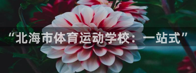 yy易游官方正版app娱乐40996