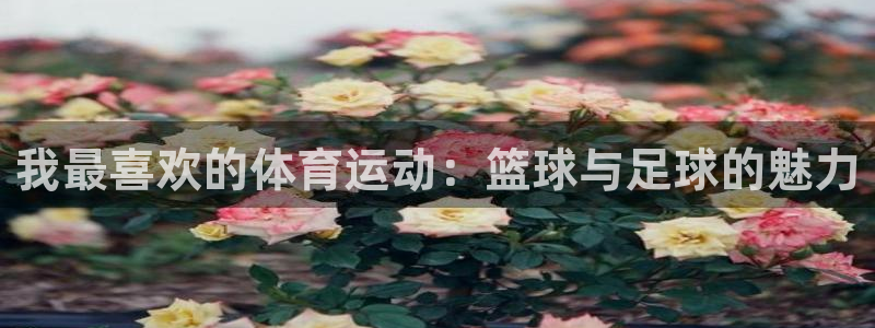 yy易游官网下载平台注册要钱吗安全吗：我最喜欢的体育运动：篮