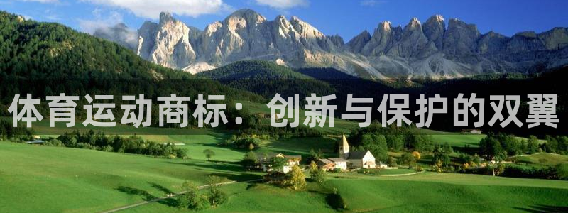 yy易游官网下载招商电话号码是多少号：体育运动商标：