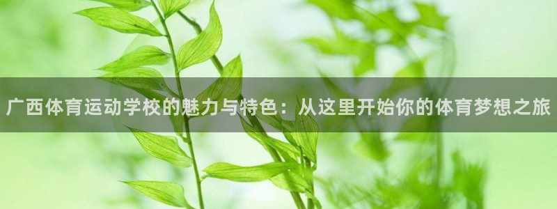 yy易游官方正版app娱乐平台：广西体育运动学校的魅力与特色