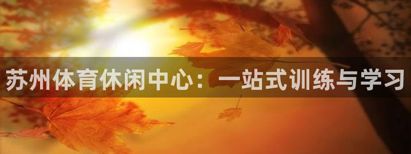 yy易游app最新版本更新内容分享：