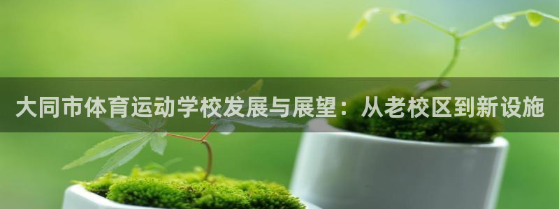yy易游体育平台能提现吗安全吗：大同市体育运动学校发展与展望