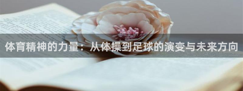  yy易游体育是正规的吗安全吗：体育精神的力量：从体操到足球的