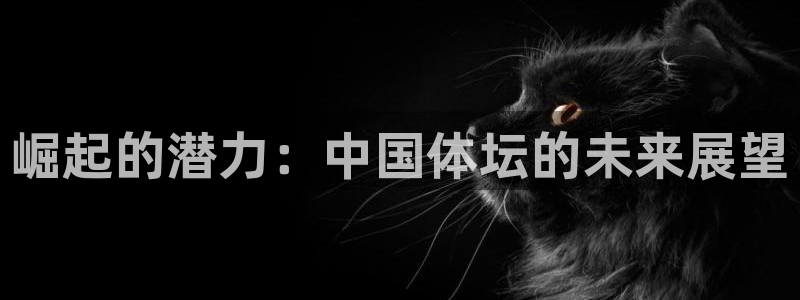  yy易游体育平台能提现吗：崛起的潜力：中国体坛的未来展望