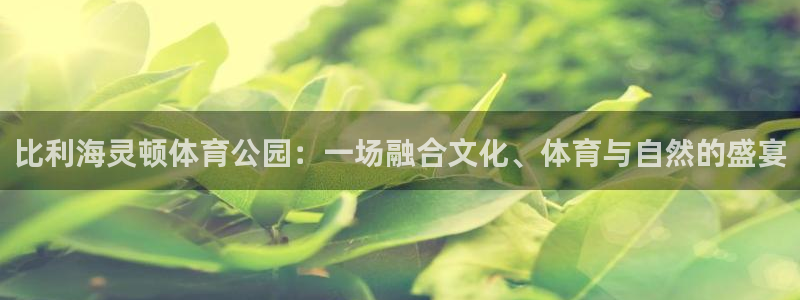  yy易游体育米乐：比利海灵顿体育公园：一场融合文化、体育与自