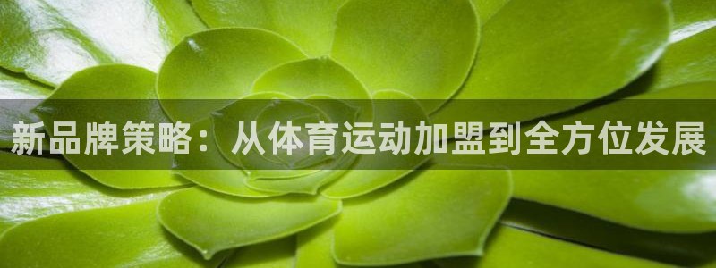 yy易游体育电竞登录不上去怎么办：新