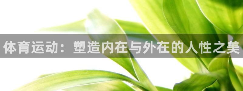 yy易游体育是正规的吗安全吗知乎：体