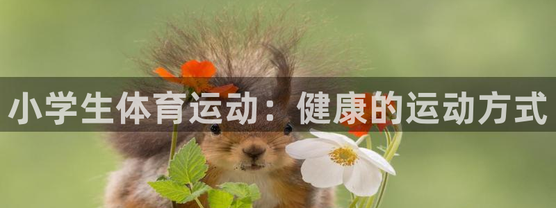 yy易游体育平台能提现吗安全吗：小学