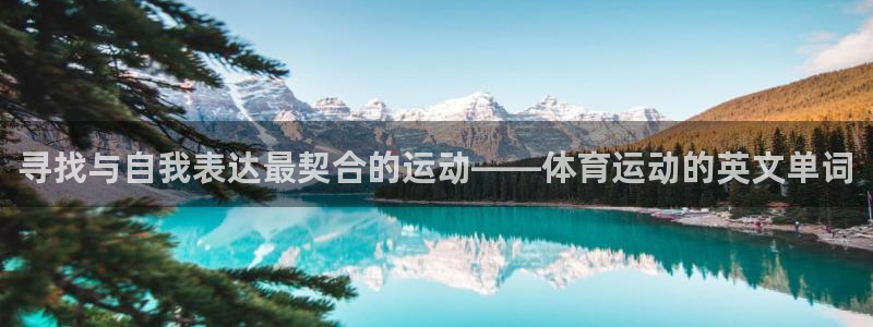yy易游体育电竞怎么样